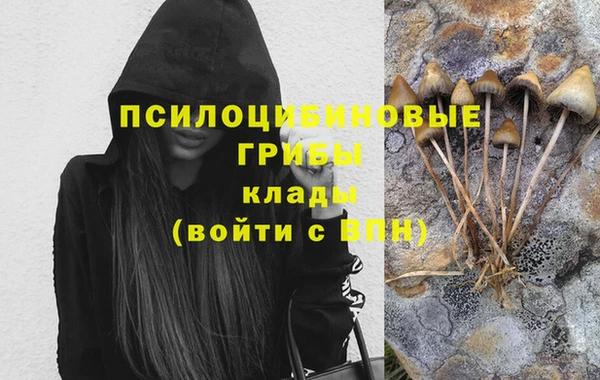 скорость Аркадак