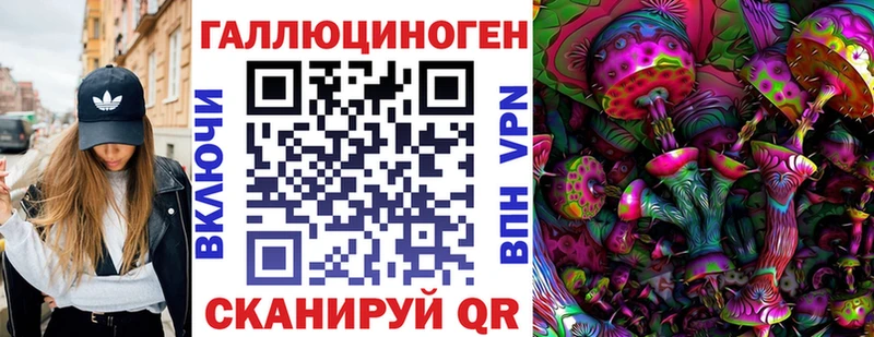 дарнет шоп  Вилюйск  Псилоцибиновые грибы Psilocybe 
